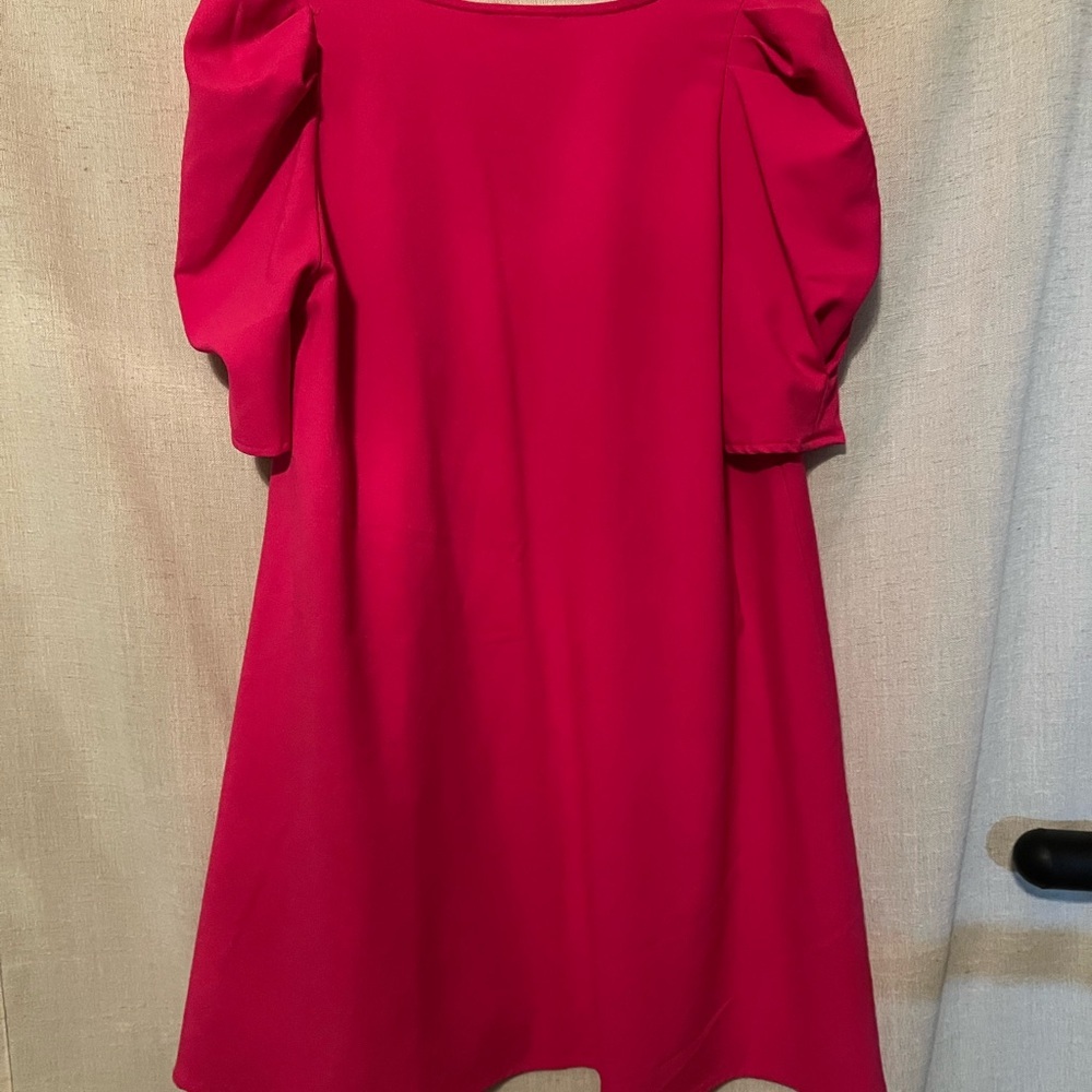 Karlie Hot Pink Shift Dress Size S - Picture 3 of 4